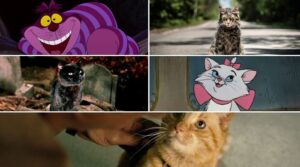 Top 10 Cats in Cinema Top 10 Cats in Cinema But Why Tho