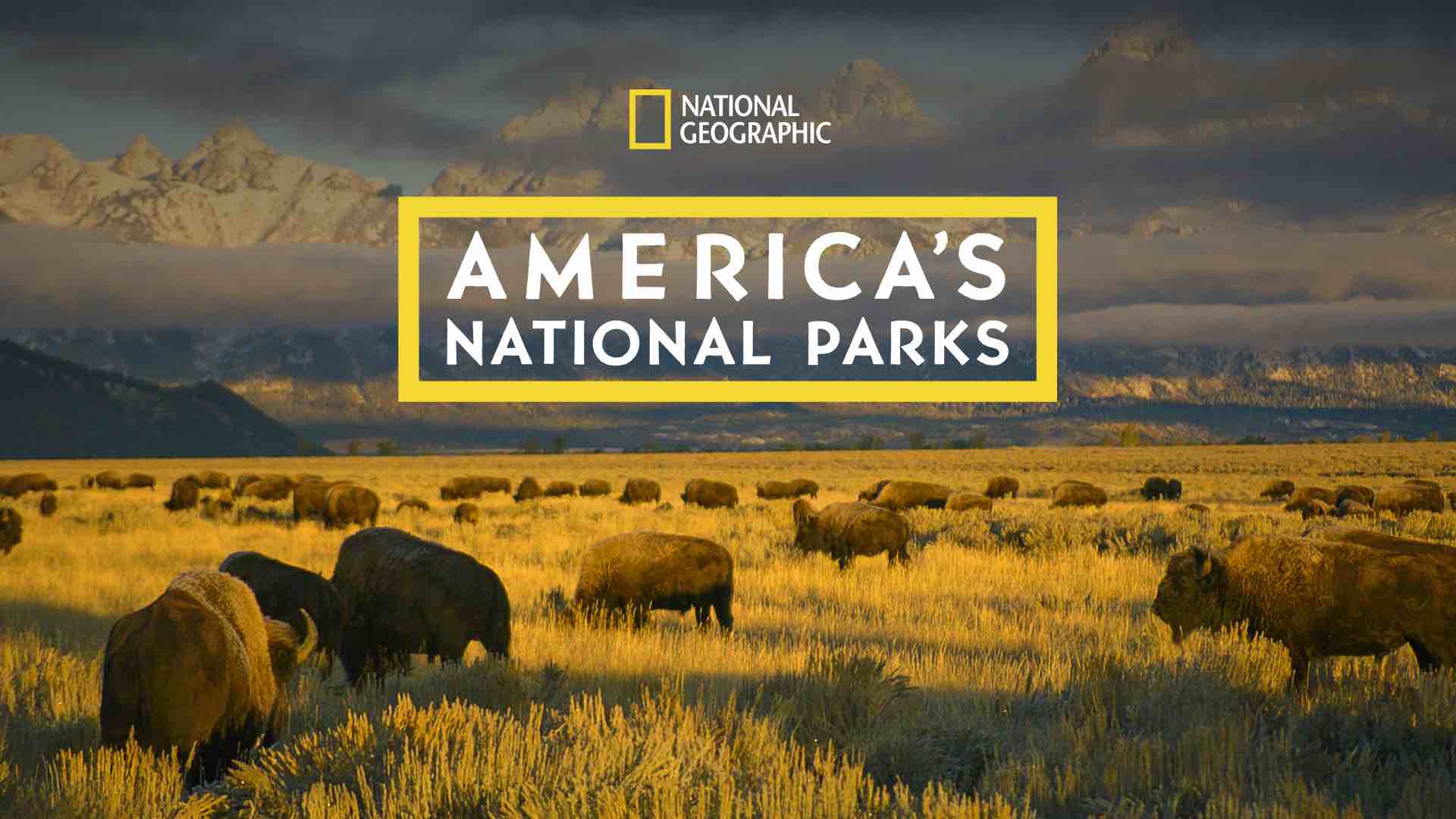 Disney Plus Documentaries - America's National Parks