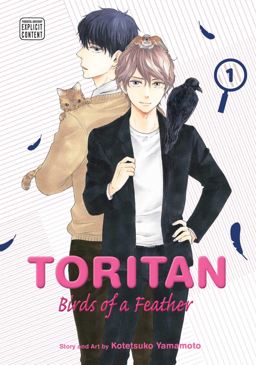 Toritan: Birds of a Feather Cover
