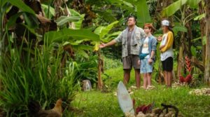 Finding Ohana