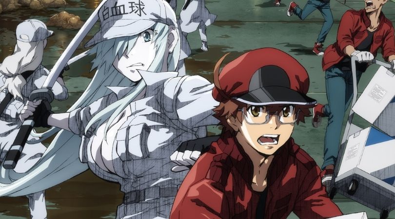 Cells at Work! em português brasileiro - Crunchyroll