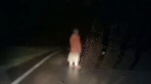 DASHCAM - But Why Tho