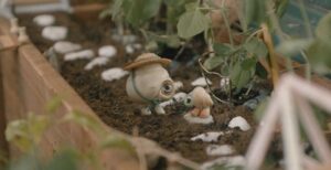 Marcel The Shell With Shoes On