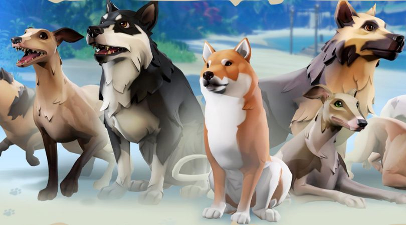 Sea of Thieves Dogs - But Why Tho