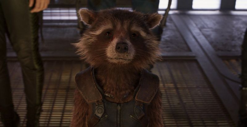 Rocket Raccoon — But Why Tho (1)
