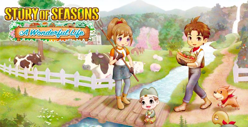 Story of Seasons A Wonderful Life — But Why Tho