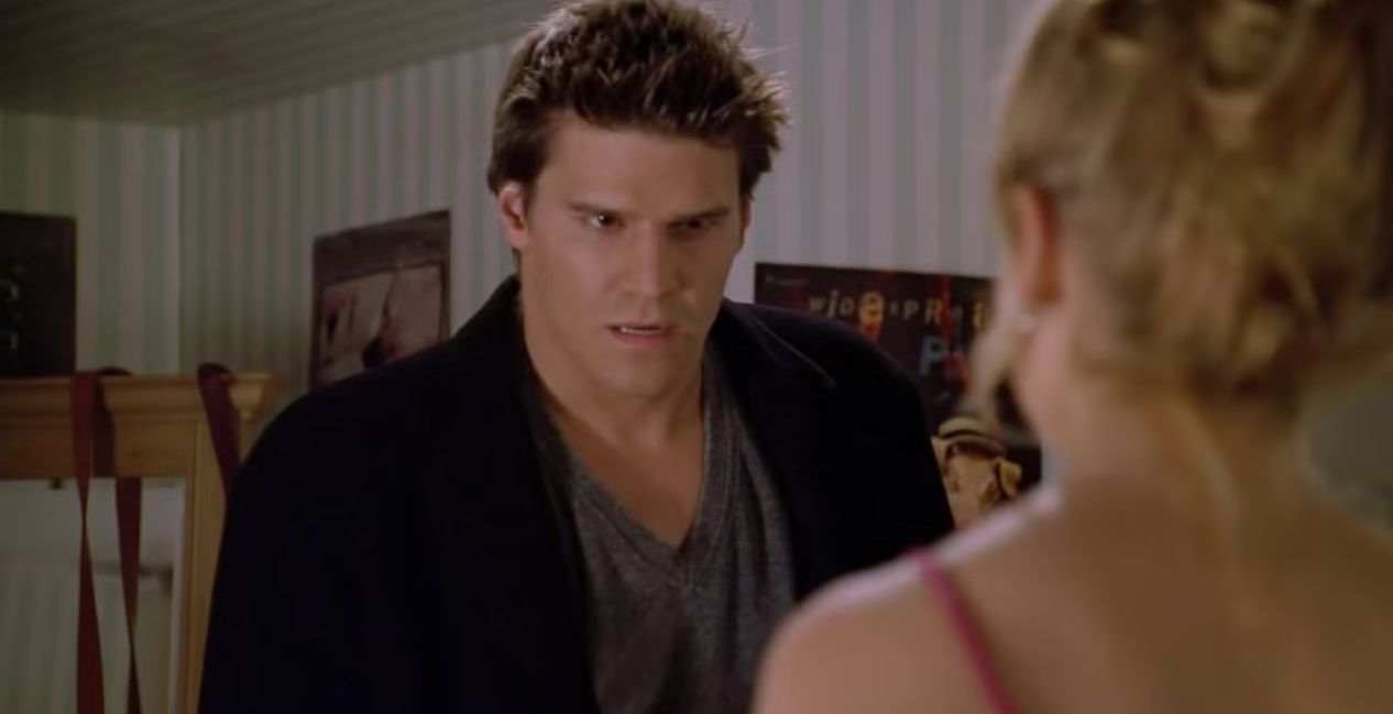 David Boreanaz as Angel