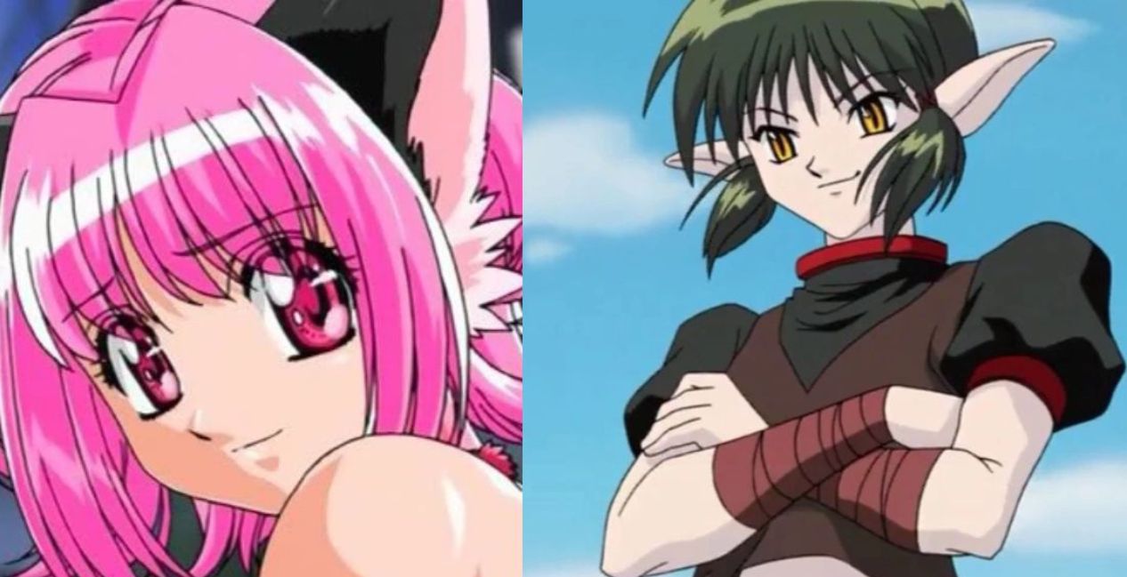 Kishu & Ichigo from Tokyo Mew Mew