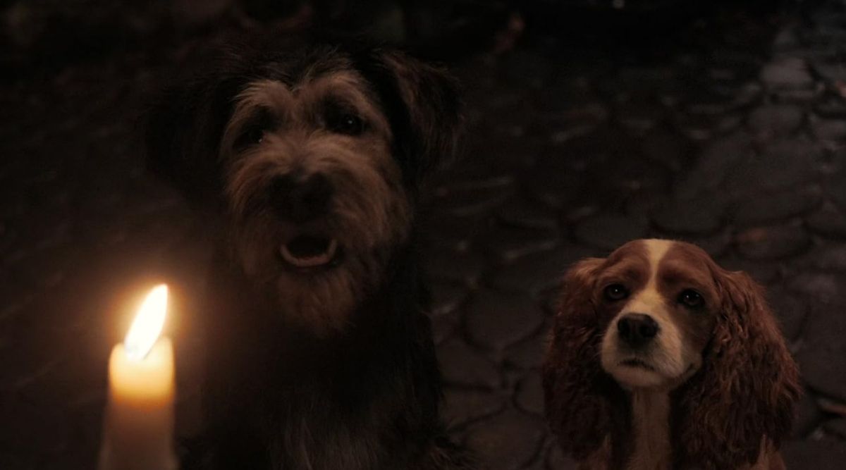 Lady and the Tramp (2019)