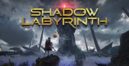 Cover of Shadow Labyrinth