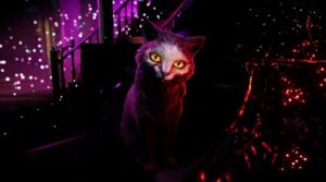 There are No Ghosts at the Grand Bones