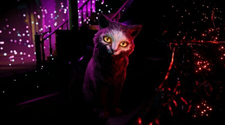 There are No Ghosts at the Grand Bones