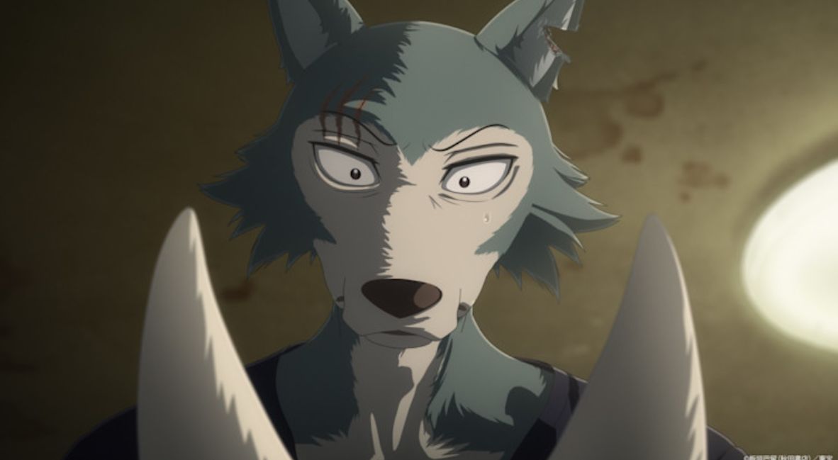 First Look at BEASTARS Final Season Part 2 Teases Intense Climax 1 BEASTARS Final Season Part 2 promotional image from Netflix