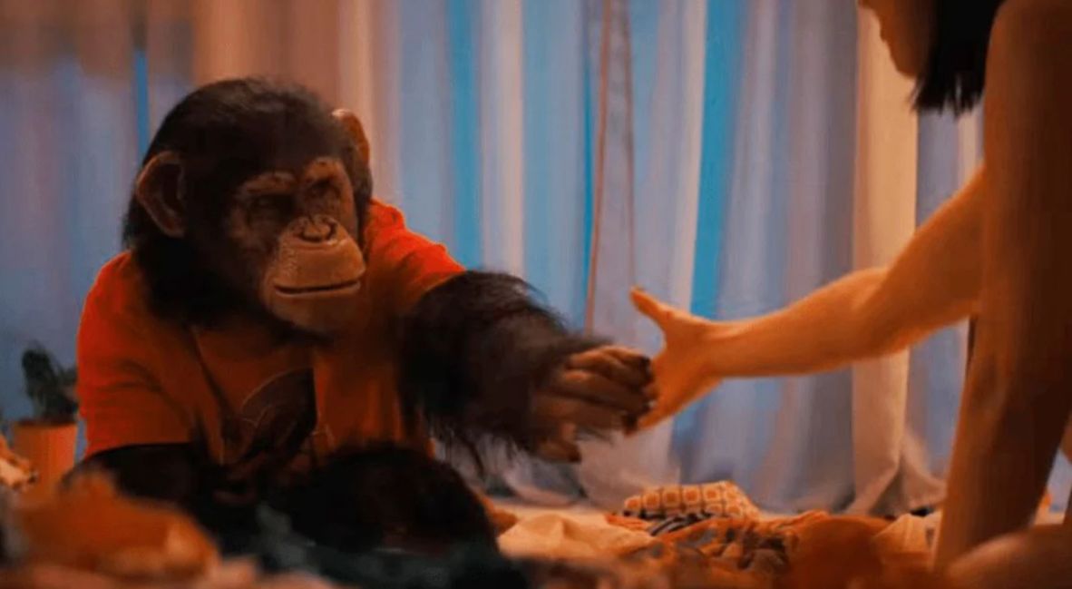 Primate Movie But Why Tho 1
