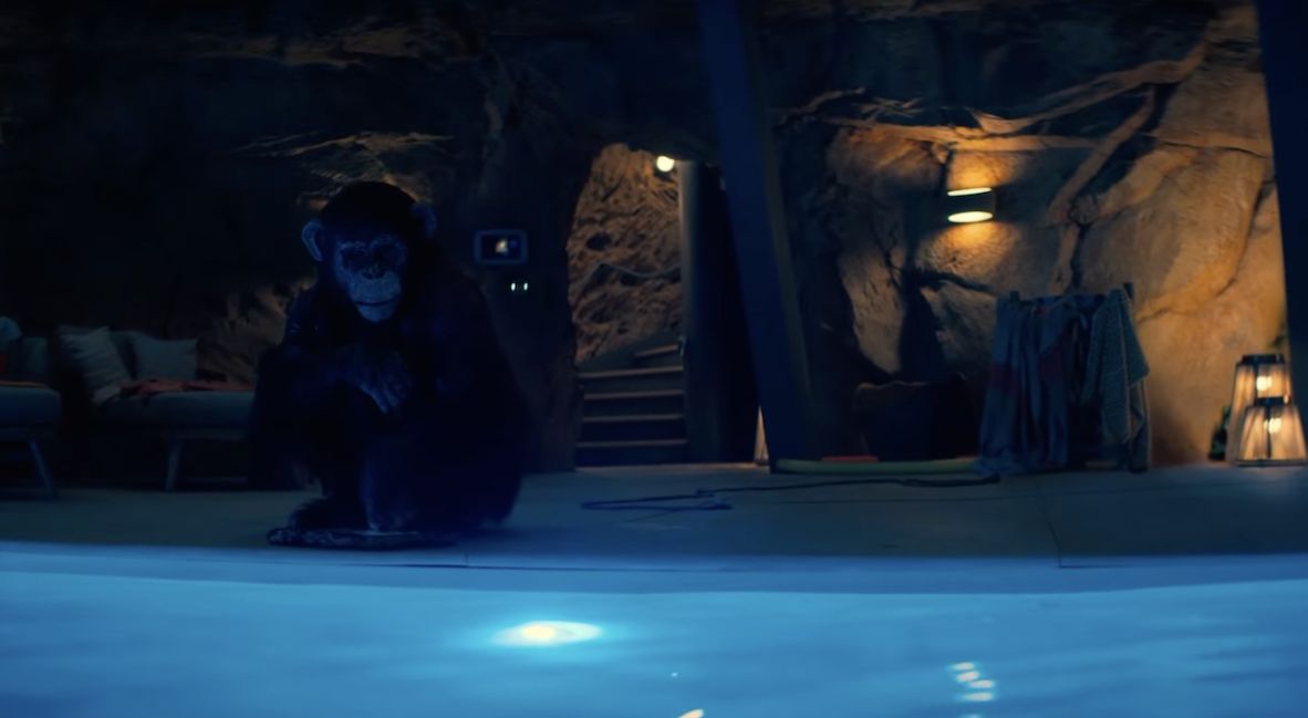Primate (2025) Movie promo image