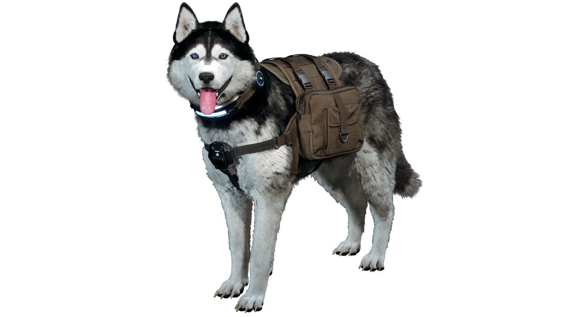 Utimate Luna But Why Tho 7