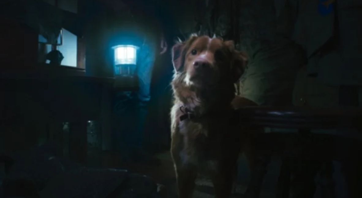 REVIEW: 'Good Boy' Showcases Innovation Through Simplicity 4 Good Boy (2025) promotional still from IFC