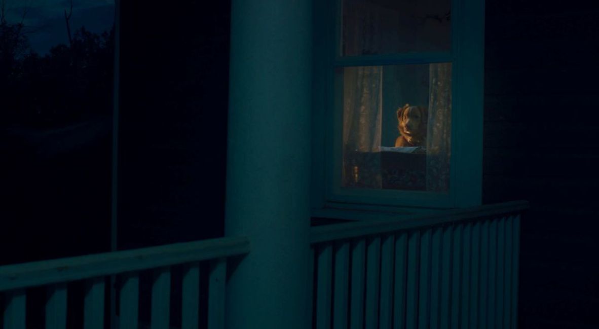 REVIEW: 'Good Boy' Showcases Innovation Through Simplicity 5 Good Boy (2025) promotional still from IFC