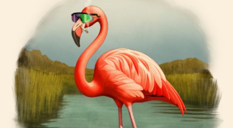 It’s Florida, Man Season 2 Shares Every Episode Synopsis Ahead of November Premiere It's Florida Man Season 2 episode still