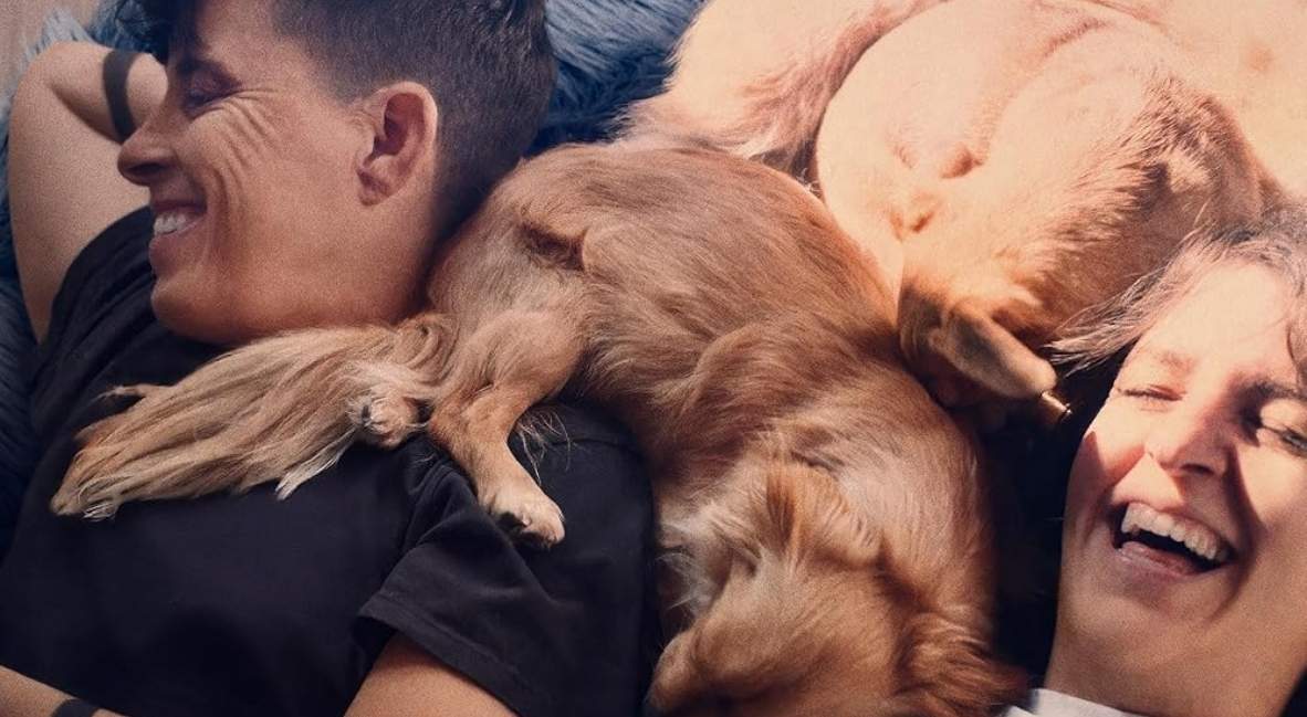 Come And See Me In The Good Light - The Top Movies of 2025