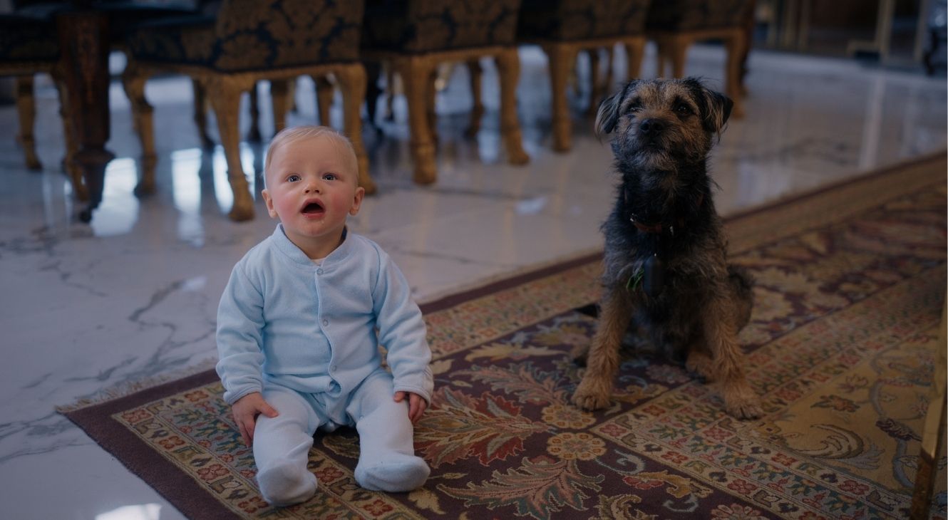 REVIEW: 'Man Vs Baby' Is About As Safe As You'd Expect 2 The baby in Man Vs Baby