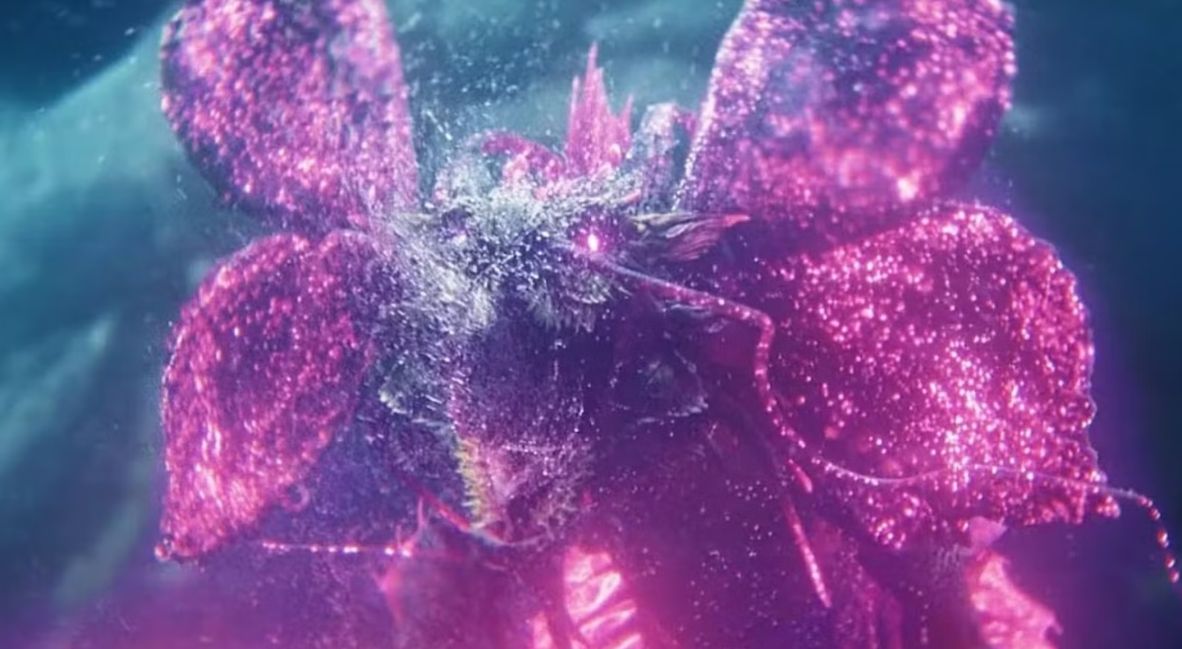 Godzilla x Kong Titan Chasers But Why Tho 3