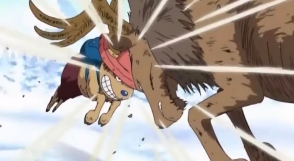 One Piece Chopper Origins and Backstory