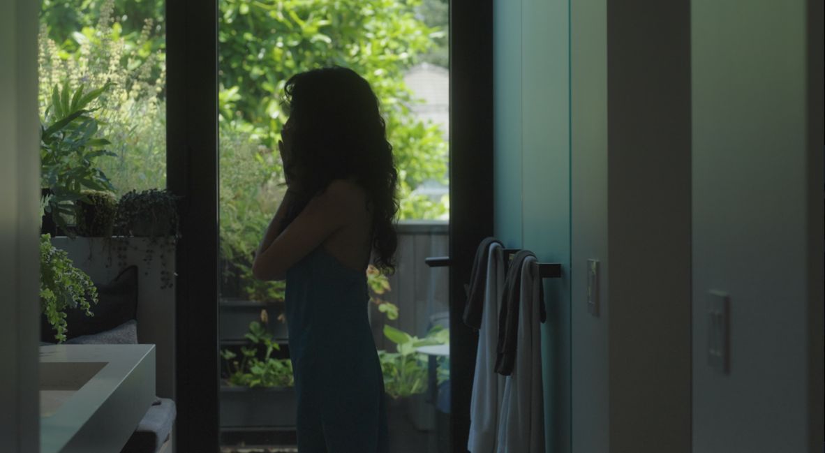 Prove You're Human still from Sunset Visitor and Black Tabby Publishing