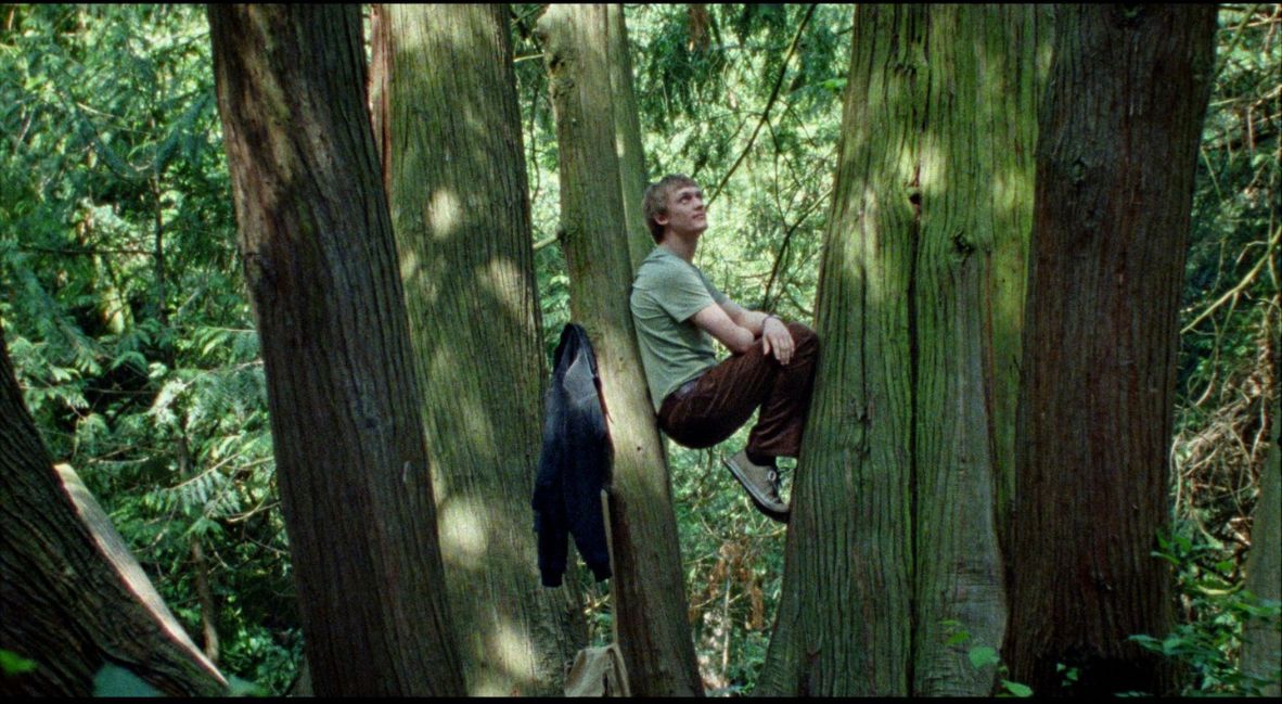 REVIEW: 'Silent Friend' Constructs An Atmospheric Thesis 3 Hannes sits under the trees