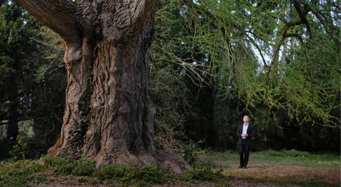 REVIEW: 'Silent Friend' Constructs An Atmospheric Thesis 1 A scene from Silent Friend