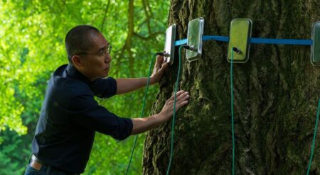 Filmmaker Ildikó Enyedi Captures Sensuality On Film With Tony Leung In ‘Silent Friend’ Tony Leung as Doctor Tony Wong in Silent Friend