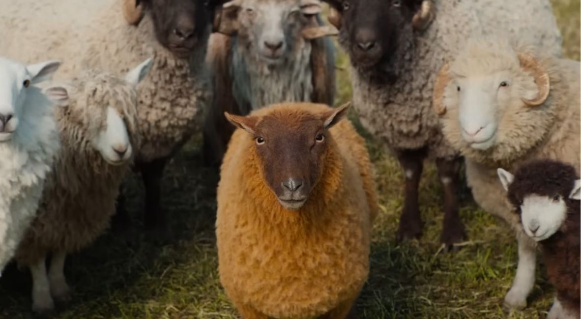 Lily in The Sheep Detectives