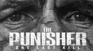 The Punisher: One Last Kill