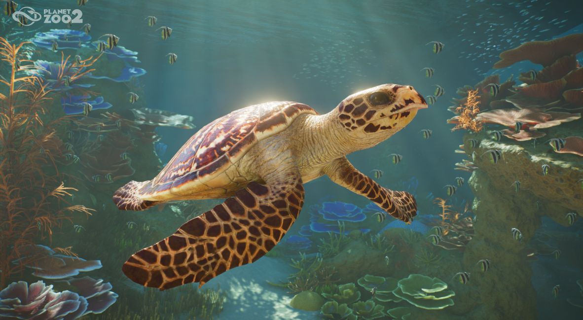 Planet Zoo 2 screenshot from Frontier Developments
