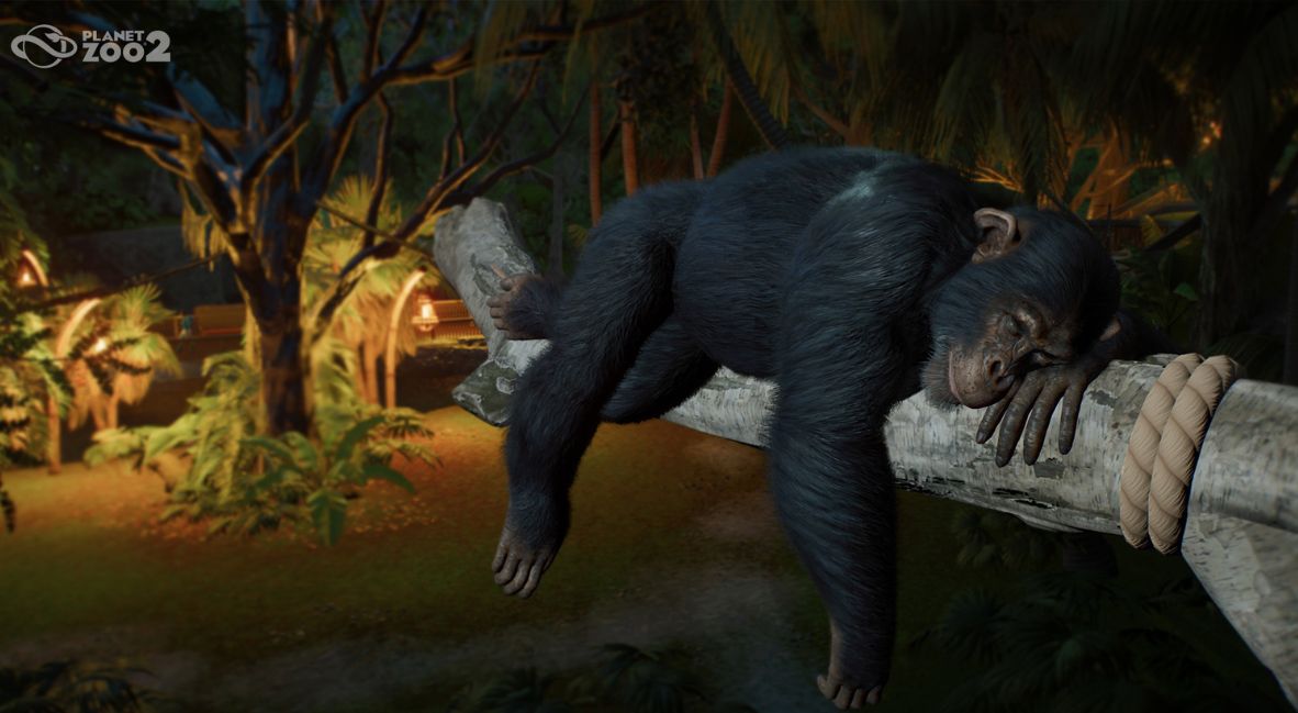 New Planet Zoo 2 Dev Video Puts The Spotlight On New Animal Behavior System 1 Planet Zo 2 Animal Behaviors