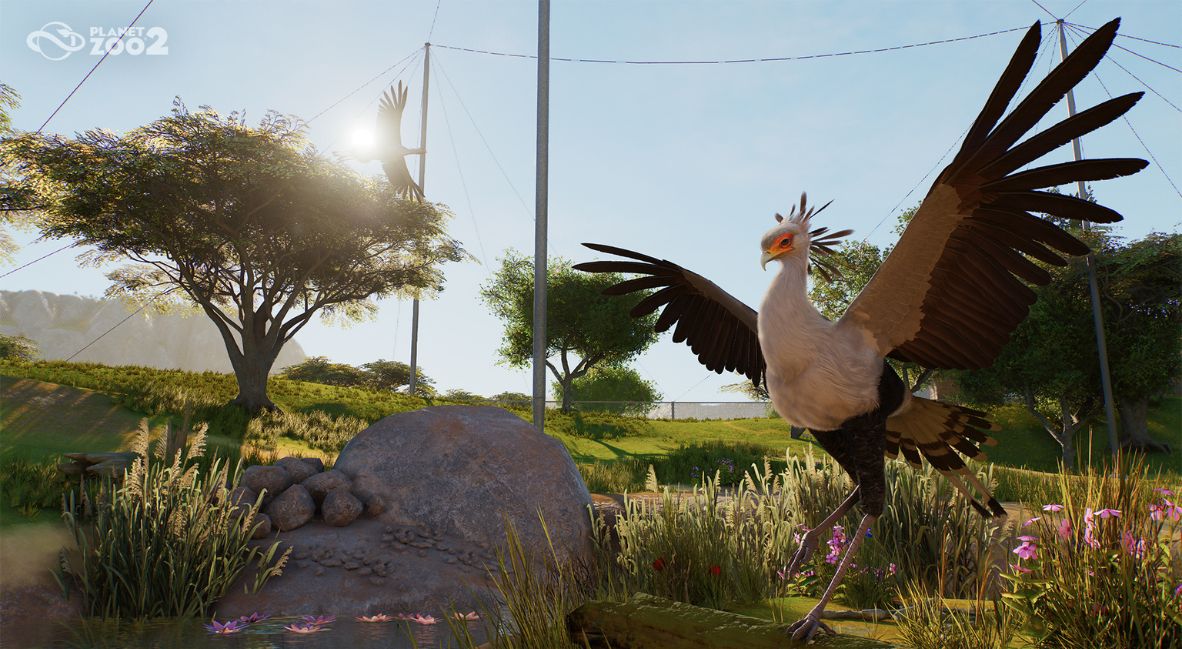 New Planet Zoo 2 Dev Video Puts The Spotlight On New Animal Behavior System 2 Planet Zo 2 Animal Behaviors