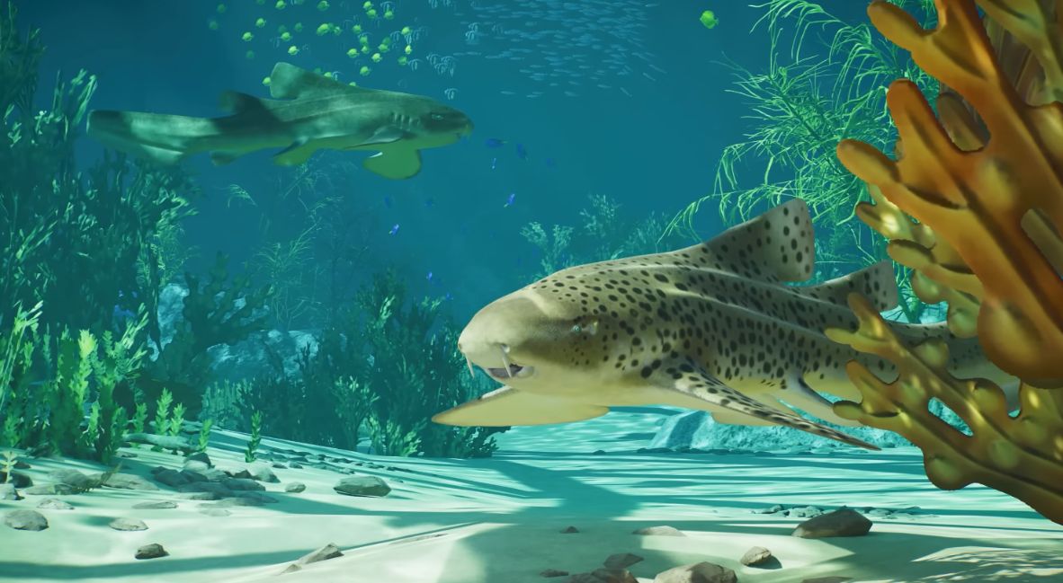 Planet Zoo 2 Animal Spotlight: Indo-Pacific Leopard Shark