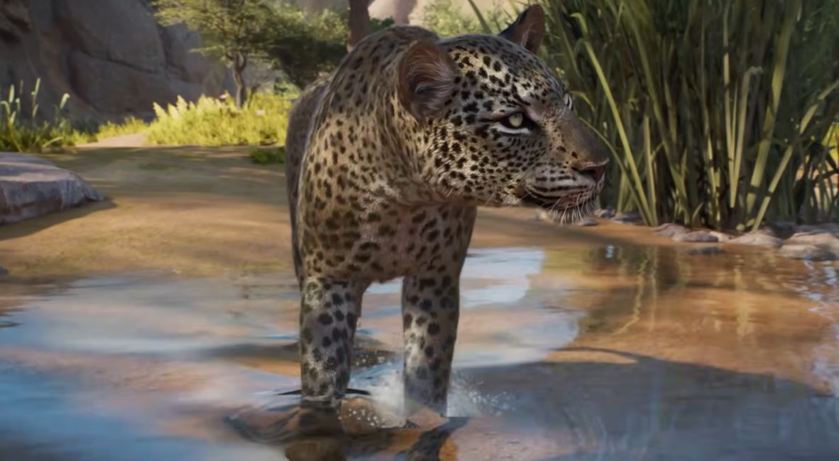 planet zoo 2 animal spotlight video