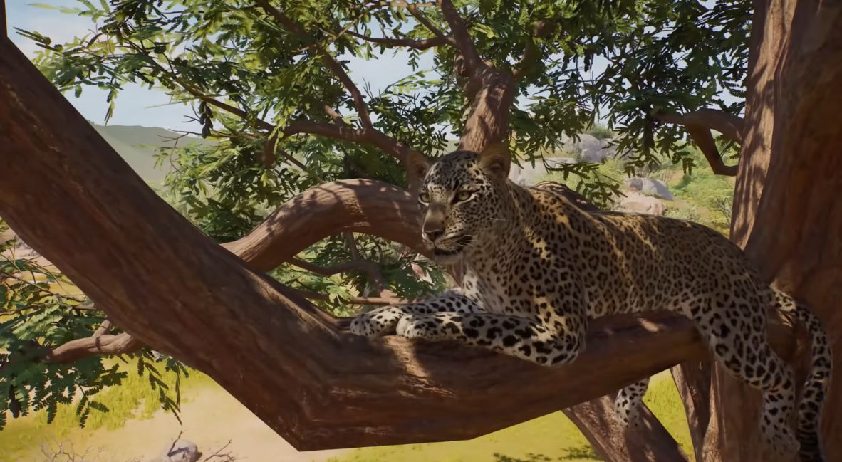 planet zoo 2 animal spotlight video