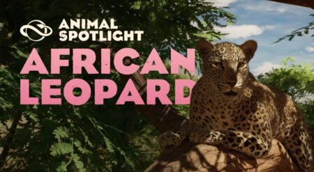 planet zoo 2 animal spotlight video