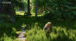 Planet Zoo 2 Wildlife Reserves